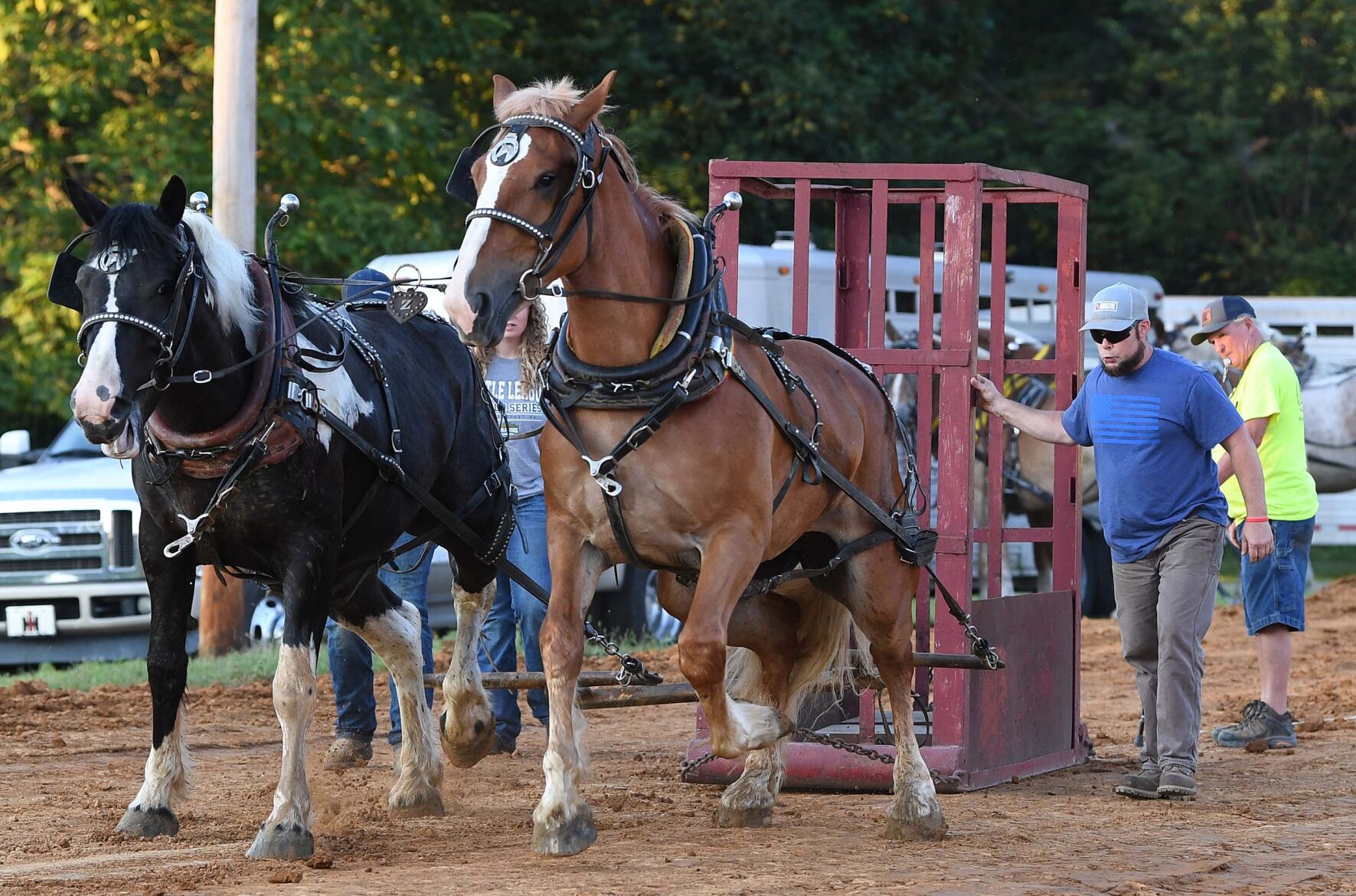 Tirage au sort de chevaux de trait Ag Expo 6.JPG